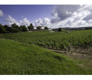 Elzasas un Burgundijas vīnu ražošanas reģioni. 07/08/2022