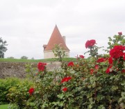 New Saaremaa. 18/07/2020 (garantēts!), 22/08/2020, 19/09/2020